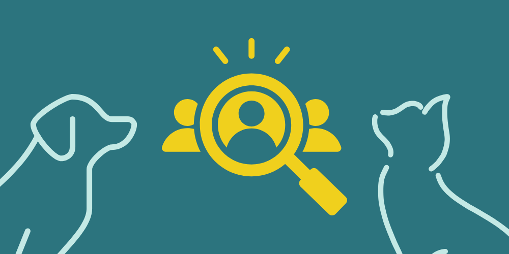 Christmas in the Veterinary Sector