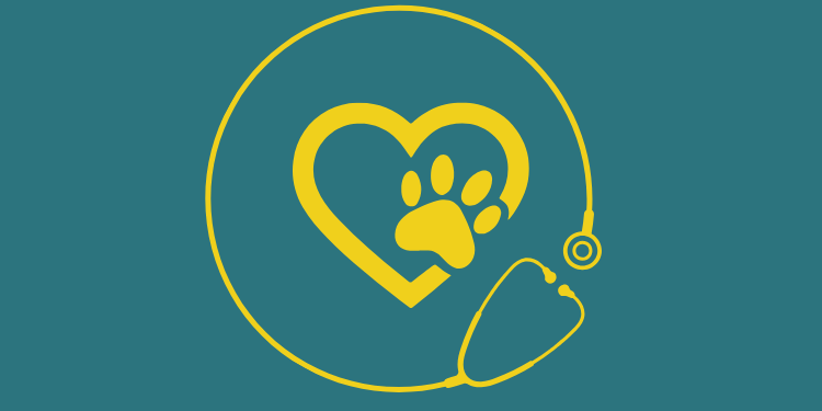 Human Factors in the UK Veterinary Industry