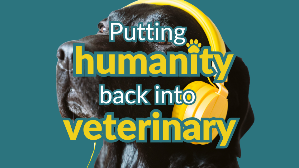 Putting humanity back into Veterinary