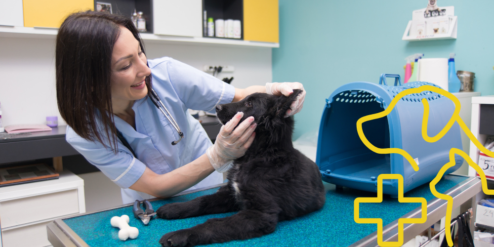 Spring into New Opportunities: