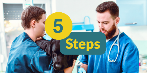 Unlock New Job Opportunities